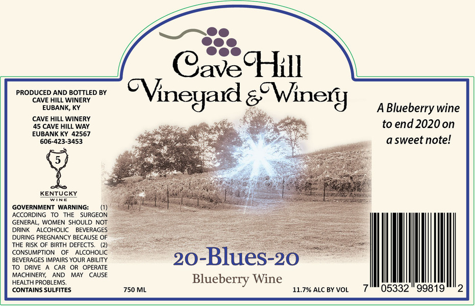 2020 Blues Blueberry Wine