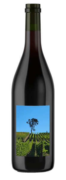 2021 Fly Rod Cellars Plastic Surgeon Pinot Noir