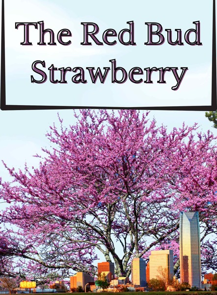 Strawberry White Zinfandel 