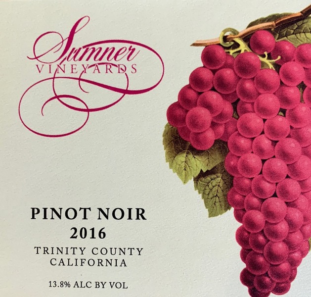 Product Image - 2016 Pinot Noir