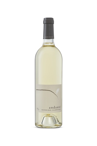 2017 Andante Sauvignon blanc