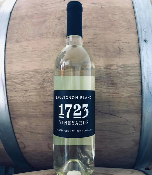 2019 Sauvignon Blanc