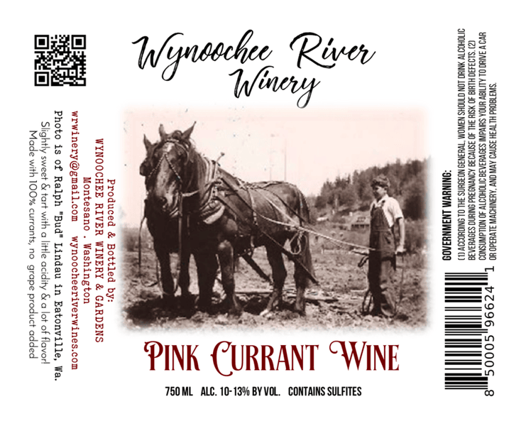 2023 PINK CURRANT WINE