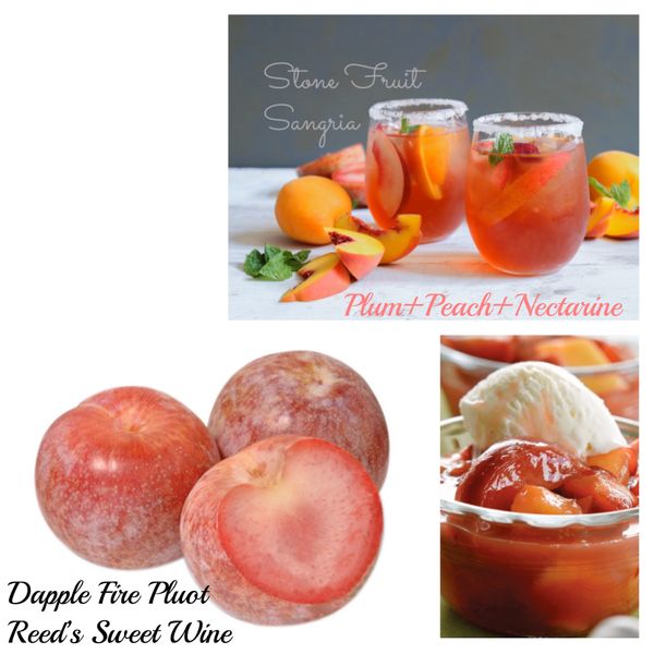 2018 Dapple Fire Pluot Wine