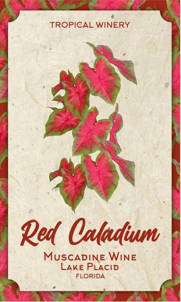 Red Caladium