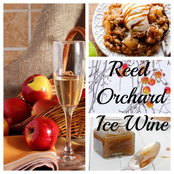 2022 Apple Ice Wine from Reeds Sweet Wine LLC Vinoshipper