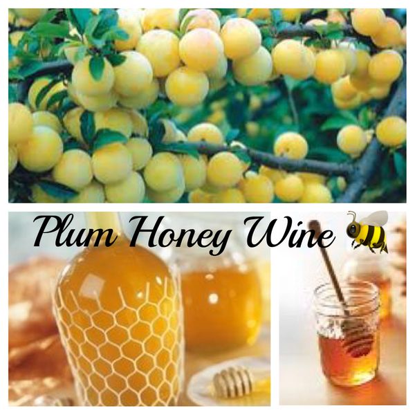 2023 Plum Honey Wine