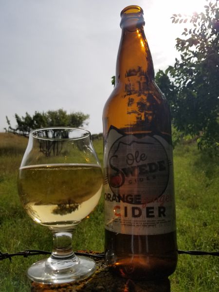 Zesty Orange Ginger Cider