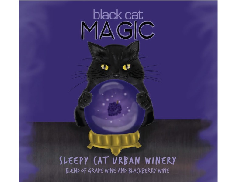 Black Cat Magic