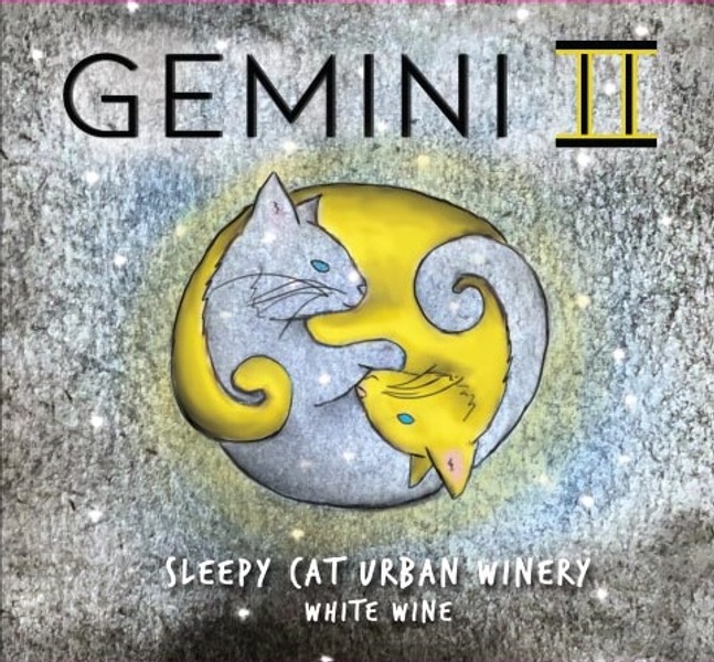 Gemini II