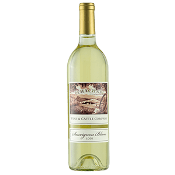 2022 Sauvignon Blanc