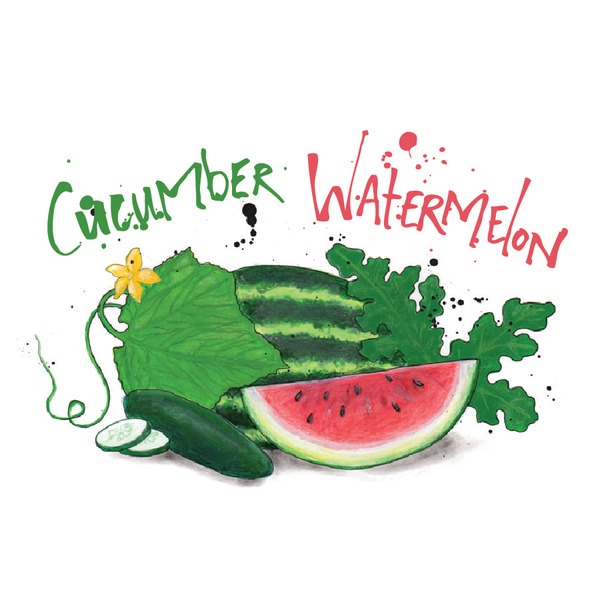 Cucumber Watermelon