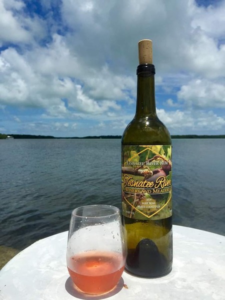 2019  Muscadine Rosé