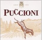 Logo for Puccioni Vineyards