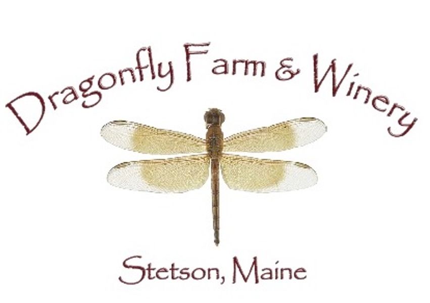 Brand for Dragonfly Farm and Winery