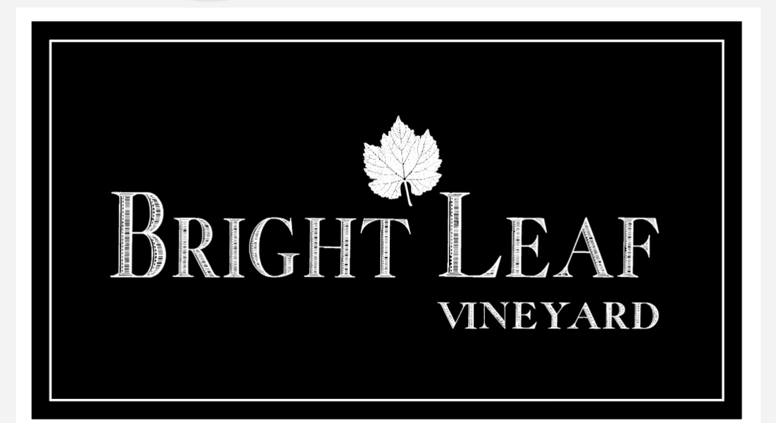 Shop Bright Leaf Vineyard Vinoshipper