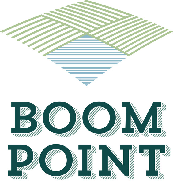 Brand for Boom Point