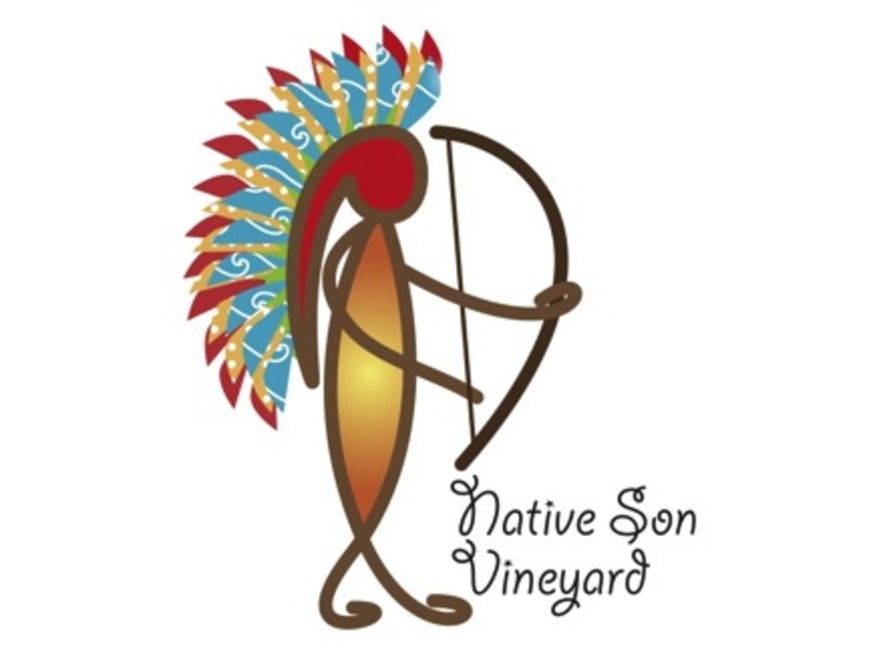 Logo for Native Son Vineyard