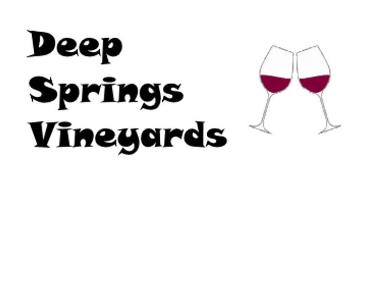 Logo for Deep Springs Vineyards