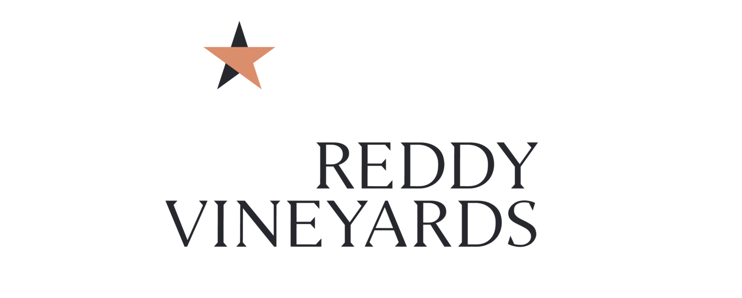 Logo for Reddy Vineyards