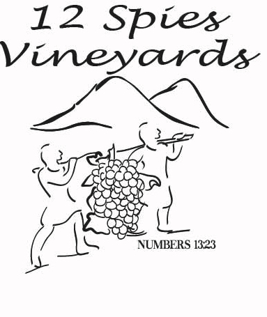 Logo for 12 Spies Vineyards 