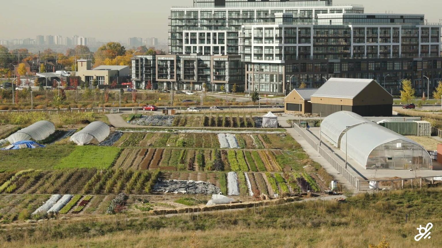 urban farm outside toronto