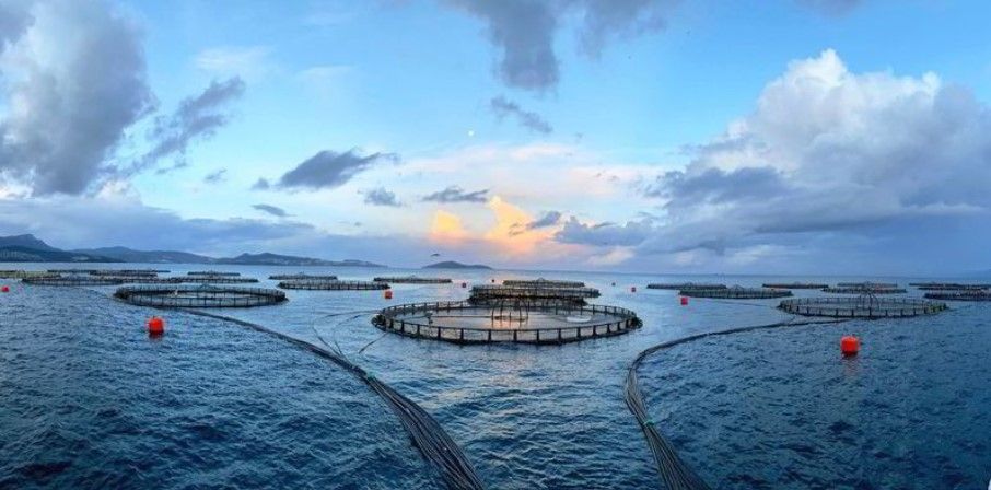aquaculture in open water