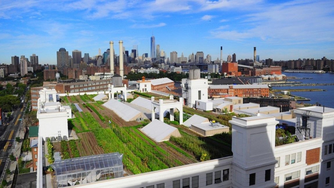 farm on rooftop in nyc