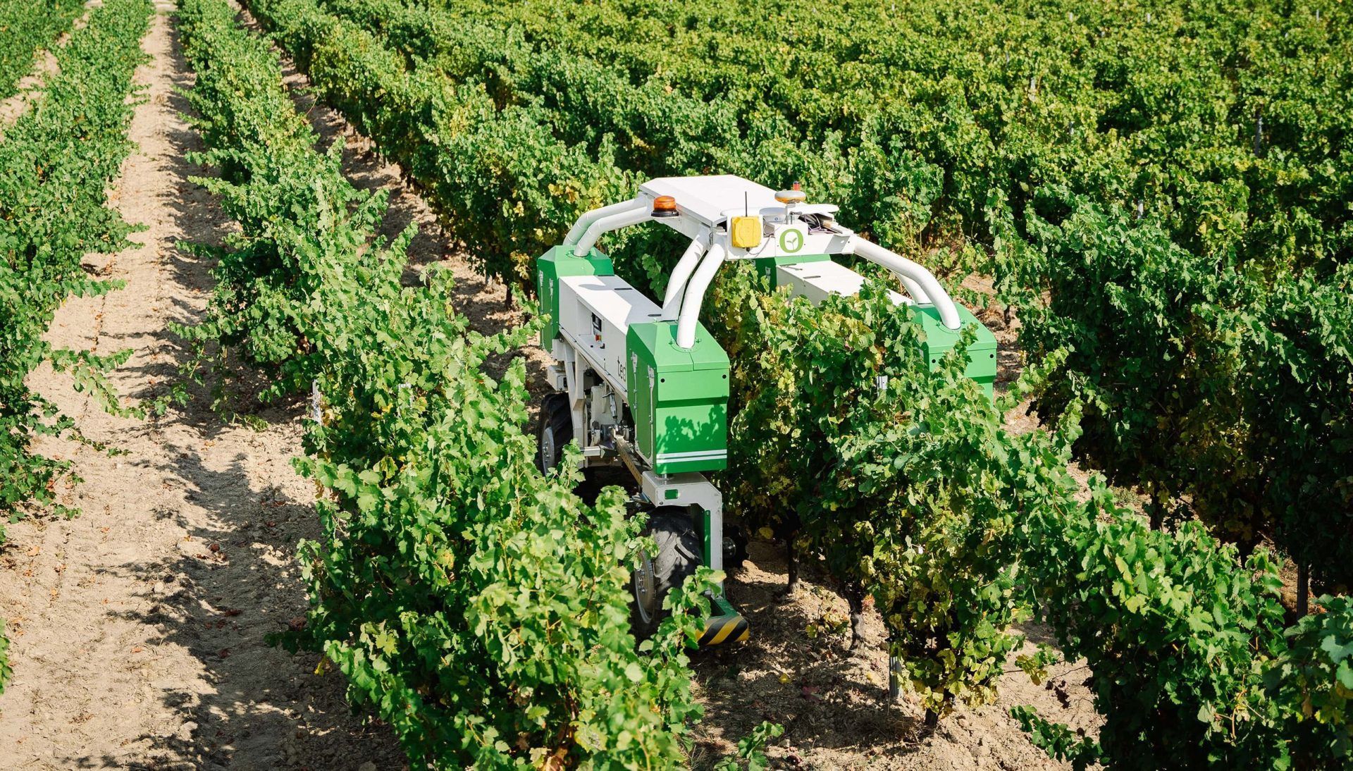 naio robot in vineyard