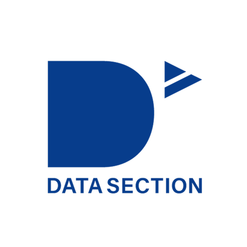  Logo datasection