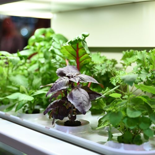 Working to reduce our environmental footprint