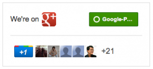 Google+ news page badge/widget!