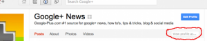 Google+ view profile as others