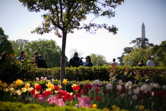 White House Is Hosting a Google+ Photowalk at White House Garden on April 21st 2012