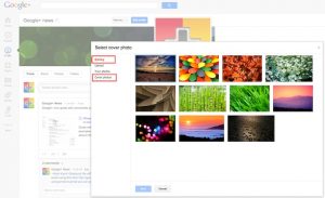 Cover photo album in google+ profile