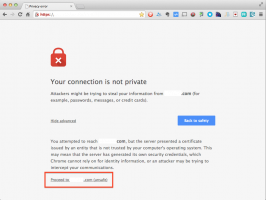 Chrome Browser Privacy Error Advanced Option