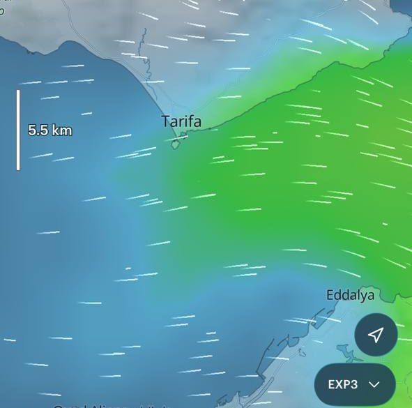 EXP3 wind forecast for the Strait of Gibraltar