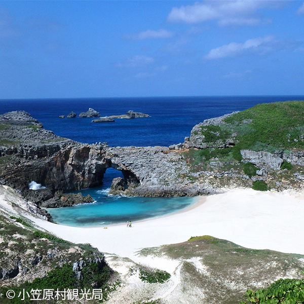 小笠原諸島 日本の世界自然遺産 Choose Your Travel Choose Your Future