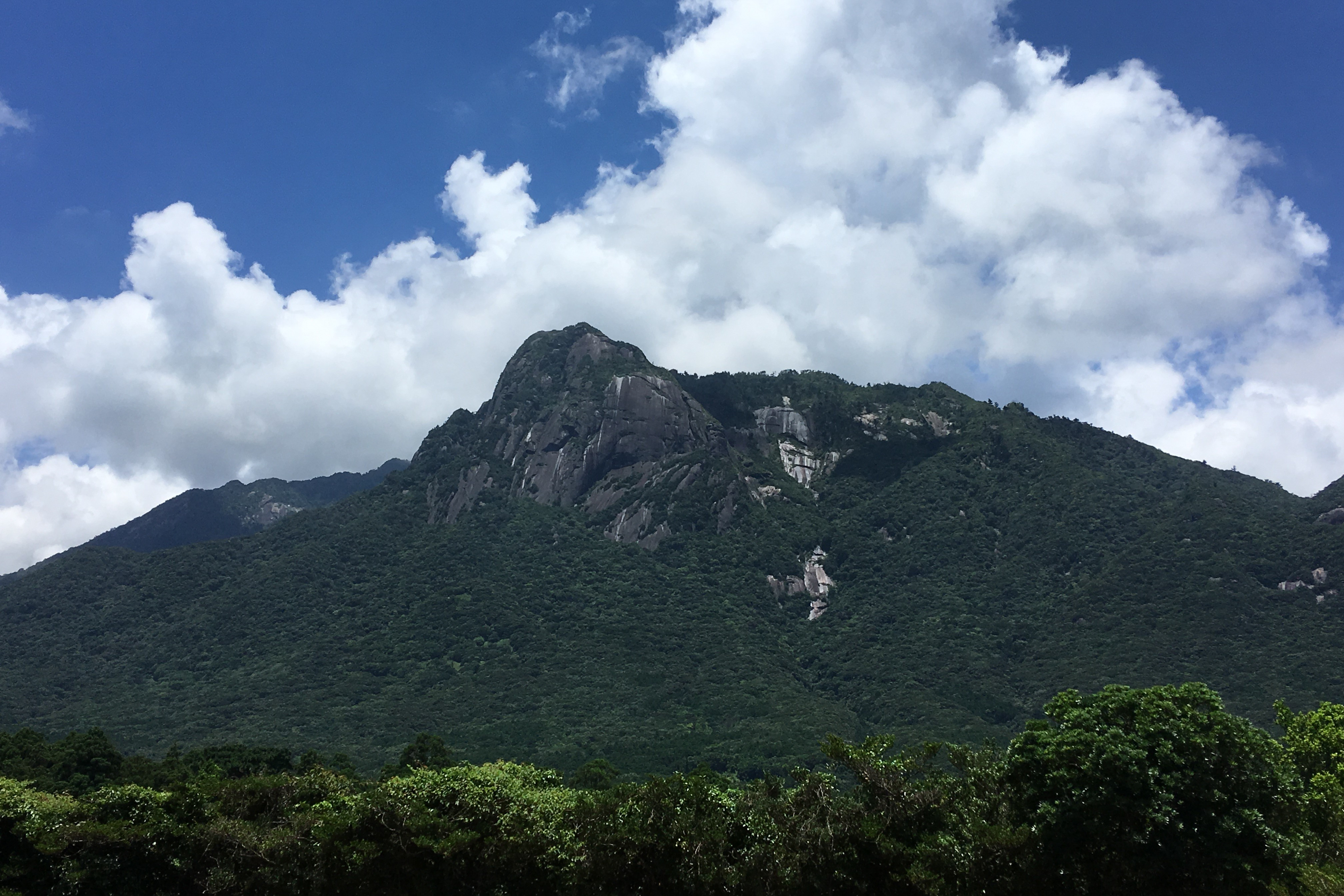 垂直の大岸壁 モッチョム岳に登り 屋久島の自然と大海原を見下ろす