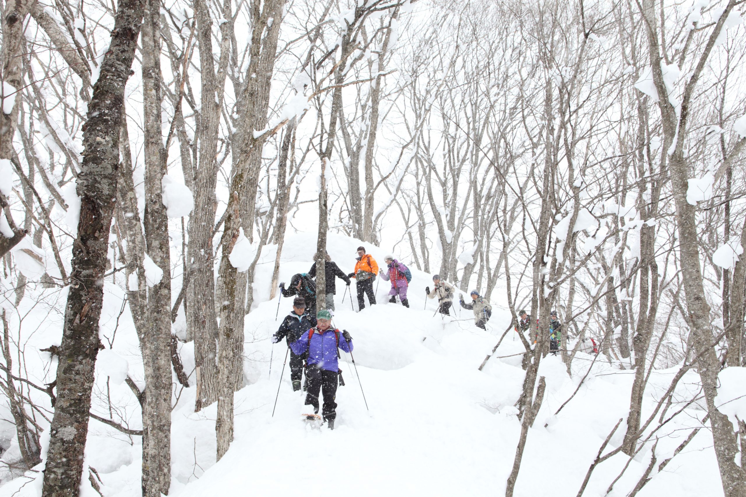 豪雪地帯 白神山地に生きる人々の郷土食