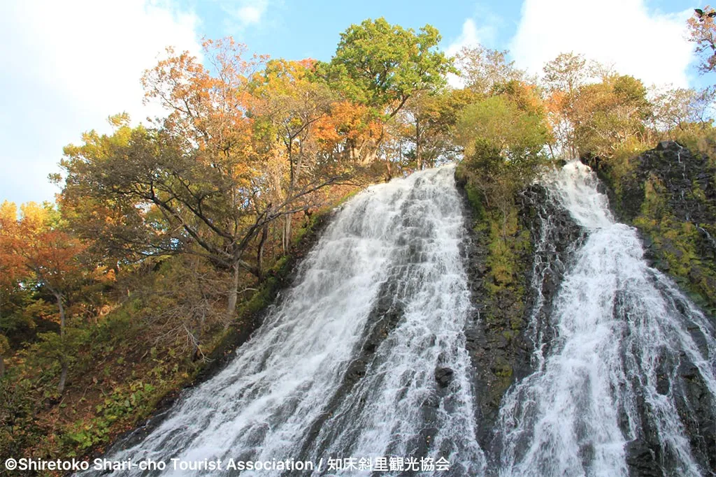 Oshinkoshin Falls