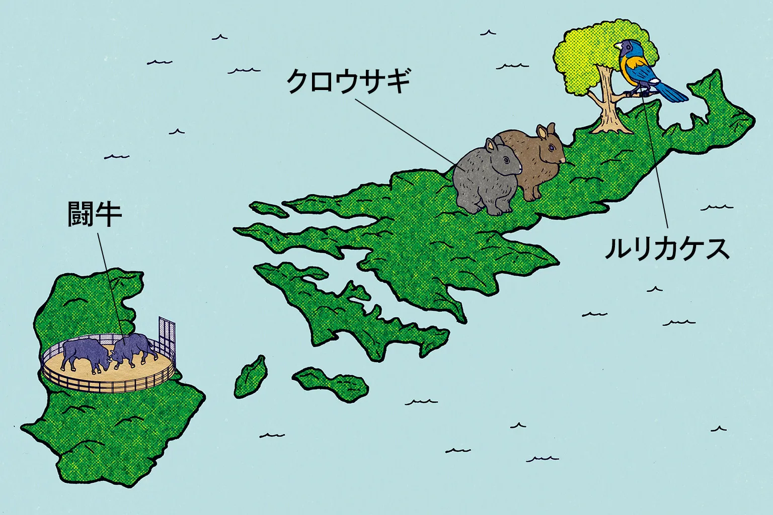 奄美・沖縄|日本の世界自然遺産 奄美・沖縄|日本の世界自然遺産