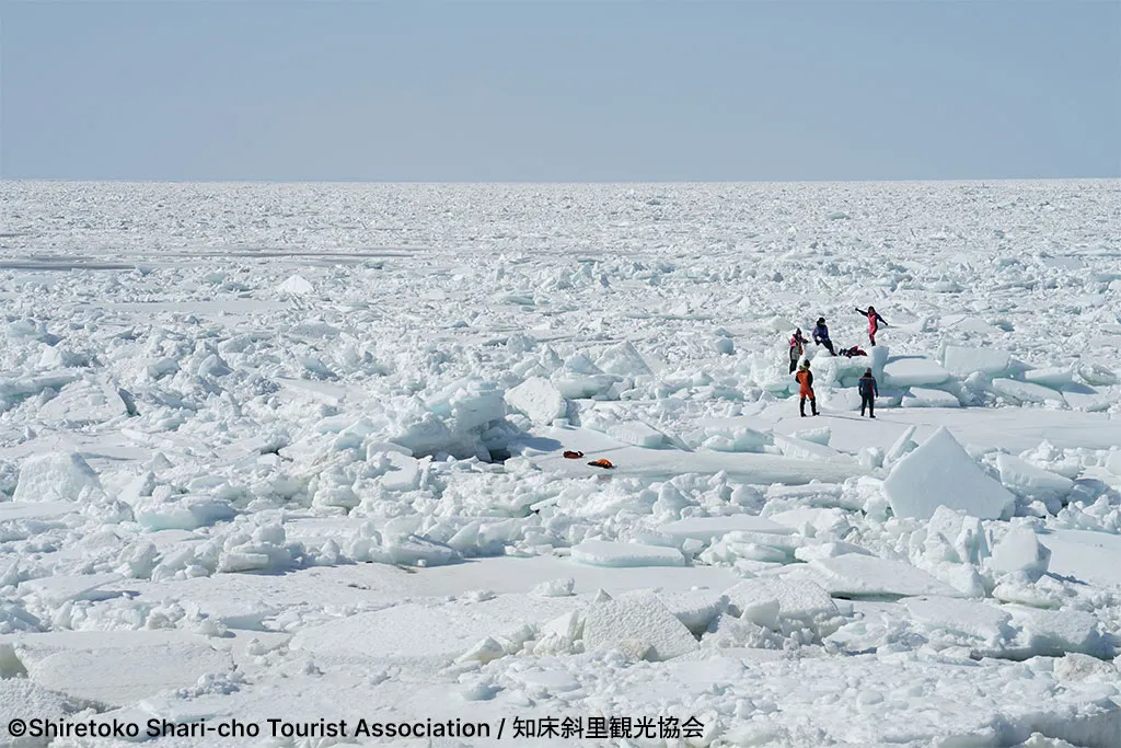 流氷ウォーク