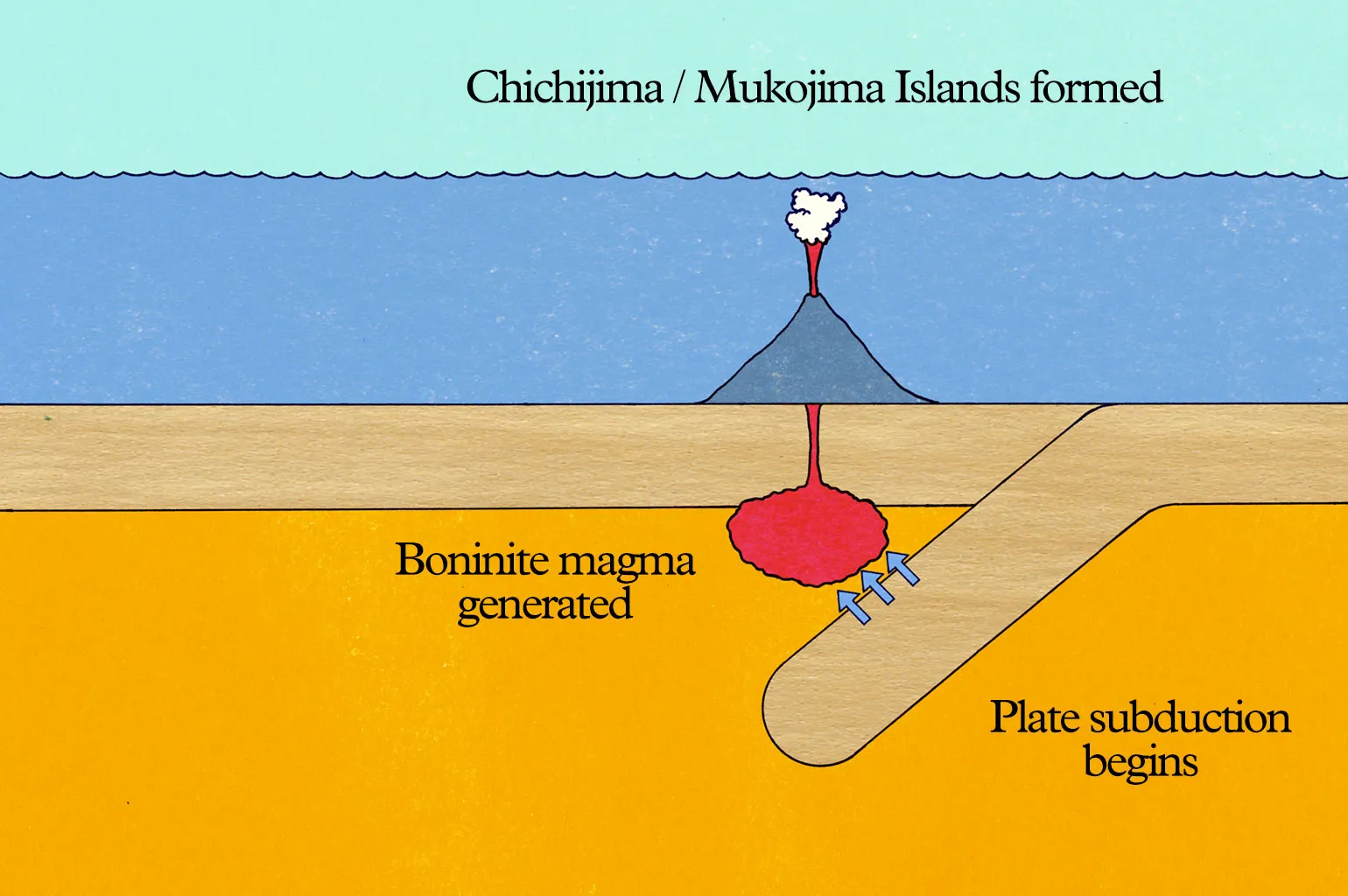 Approx. 48 million years ago—Formation of the Chichijima and Mukojima islands from volcanic activity