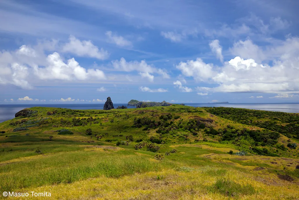 聟島列島