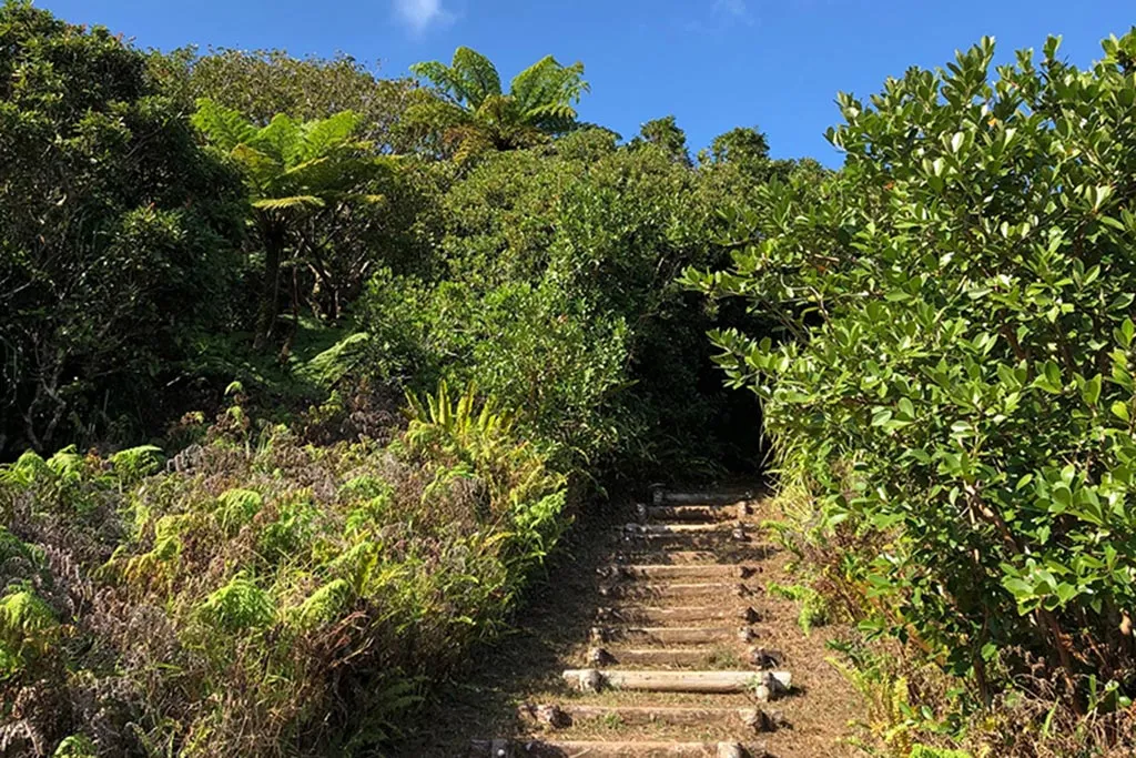 Climbing Mt. Chibusayama on Hahajima Island