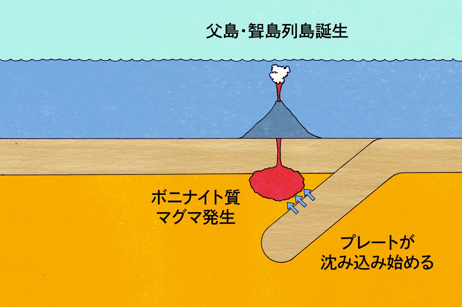 約4800万年前　火山活動による父島・聟島列島の誕生