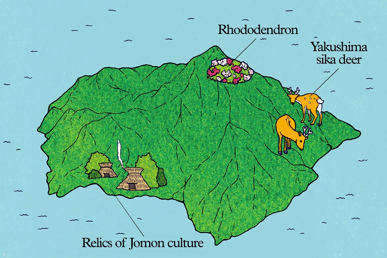 Approx. 7,000 years ago: Forests emerge, and human inhabitants arrive