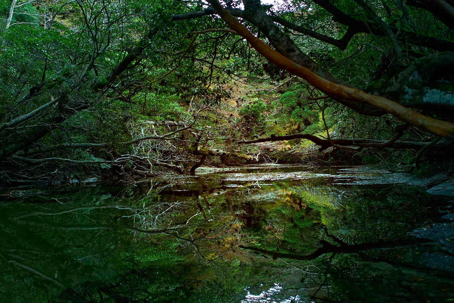 淀川