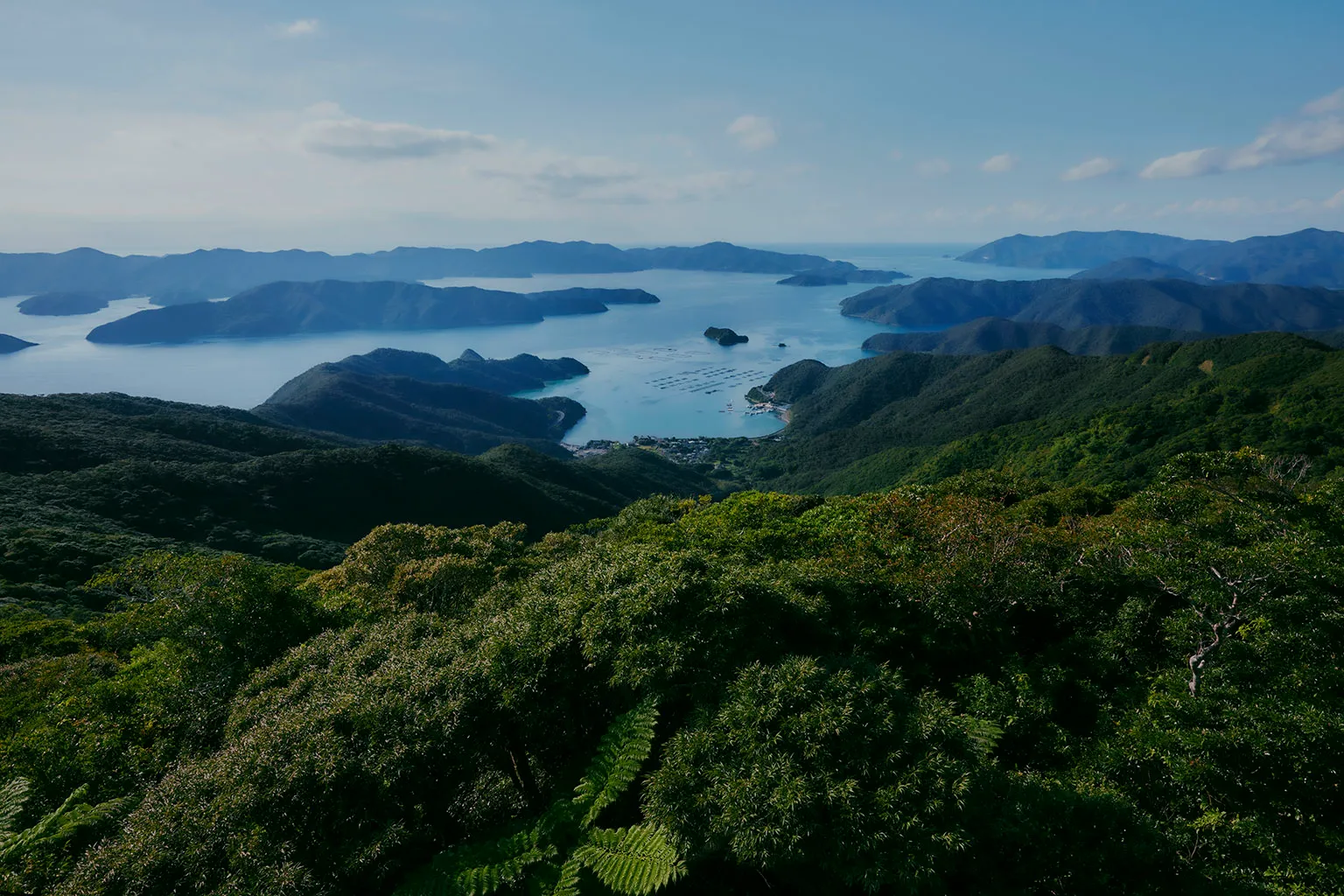 油井岳展望台（奄美大島）